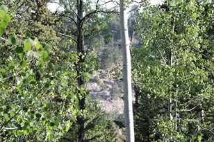 170 Buckskin Ct, Como, CO 80432 - Photo 1