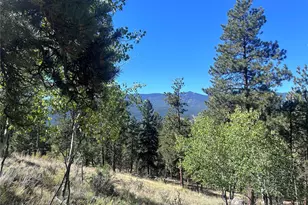 62430 US Hwy 285, Bailey, CO 80421 - Photo 1