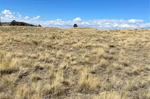 309 Castle Mountain Dr, Florissant, CO 80816 - Photo 1