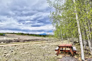 142 Puma Ct, Como, CO 80432 - Photo 1