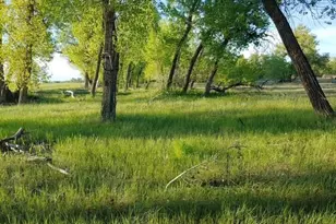 50100 E 48th Ave, Bennett, CO 80102 - Photo 1