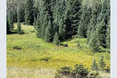 Lot 3141 Forbes Loop Road, Fort Garland, CO 81133 - Photo 1