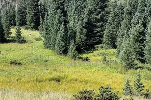 Lot 3141 Forbes Loop Rd, Fort Garland, CO 81133 - Photo 1