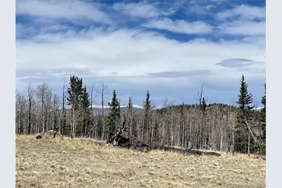 400 Vulture Lane, Como, CO 80432 - Photo 1