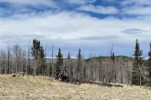 400 Vulture Ln, Como, CO 80432 - Photo 1