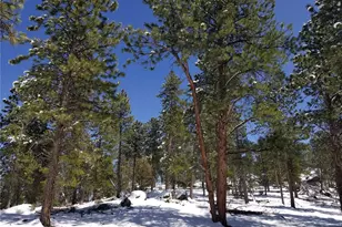 5325 S Hatch Dr, Evergreen, CO 80439 - Photo 1