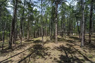 17960 Smugglers Rd, Monument, CO 80132 - Photo 1