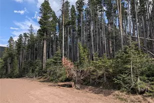 3440-3441 Drexler Pl, Fort Garland, CO 81133 - Photo 1