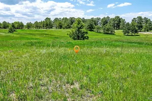 17255 Forest Green Way, Elbert, CO 80106 - Photo 1