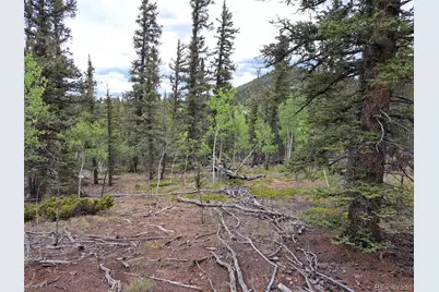 256 Bear Way, Como, CO 80432 - Photo 1