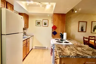 101 Doc Susie Ave, Fraser, CO 80442 - Photo 1