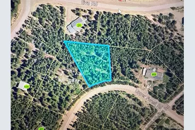 1010 Upper Forest Road, Idaho Springs, CO 80452 - Photo 1