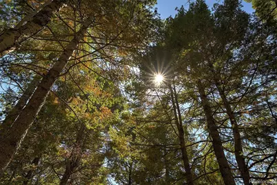 13492 Shiloh Drive, Conifer, CO 80433 - Photo 1