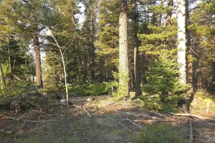 Lot 5768 Clawson Rd, Fort Garland, CO 81133 - Photo 1