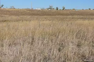 1970 Imboden Rd, Watkins, CO 80137 - Photo 1