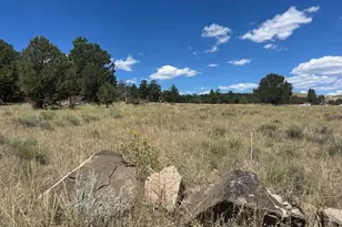 000 29th Trail & L Path, Cotopaxi, CO 81223 - Photo 1