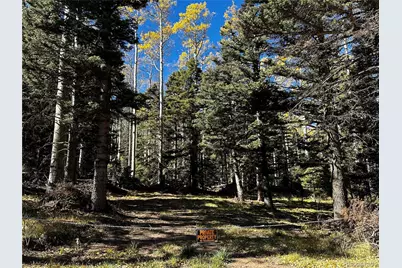 3076 Henderson Drive, Fort Garland, CO 81133 - Photo 1