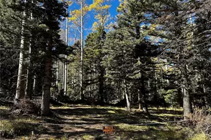 3076 Henderson Dr, Fort Garland, CO 81133 - Photo 1