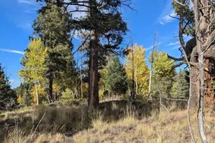 303 View Crest Way, Florissant, CO 80816 - Photo 1