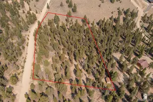 469 Ee Hill Dr, Twin Lakes, CO 81251 - Photo 1