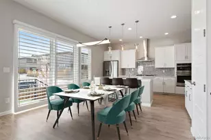 10533 Oncilla Ln, Lone Tree, CO 80124 - Photo 1