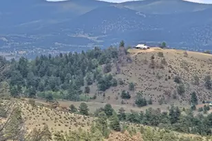 456 Pine Ln, Hartsel, CO 80449 - Photo 1