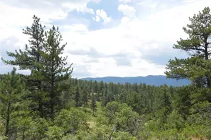 7069 Pasque Ct, Larkspur, CO 80118 - Photo 1