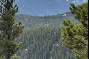 491 Hilltop, Idaho Springs, CO 80452 - Photo 1