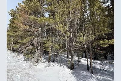 Lot 105 Deer Road, Idaho Springs, CO 80452 - Photo 1