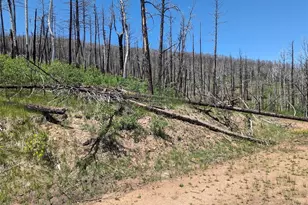 839 Slaoui Pl, Fort Garland, CO 81133 - Photo 1