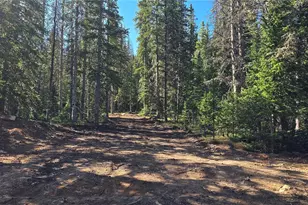 Lot 6515 Doyle Rd, San Luis, CO 81152 - Photo 1