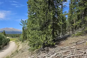 Pcs#44083 Co Rd 1, Fairplay, CO 80440 - Photo 1