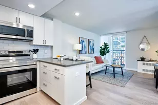 830 N Sherman Street, Denver, CO 80203 - Photo 1