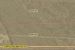 80 Acres Camino Tio Irving St, Fort Garland, CO 81133 - Photo 1