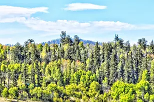 900 Remington Rd, Como, CO 80456 - Photo 1