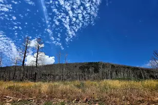 Lot 2057 Forbes Park Rd, Fort Garland, CO 81133 - Photo 1