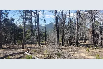 Lot 2739 Newman Place, Fort Garland, CO 81133 - Photo 1