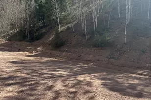 County Road 61, Divide, CO 80816 - Photo 1