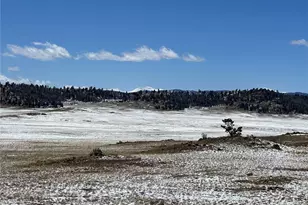 0001 Dog Chief Trail, Hartsel, CO 80449 - Photo 1