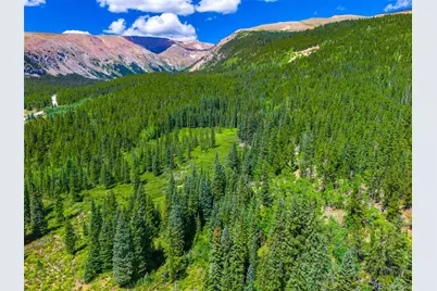 1421 Buckskin Road, Alma, CO 80420 - Photo 1