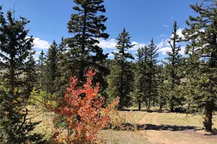 246 Chippewa Rd, Jefferson, CO 80456 - Photo 1