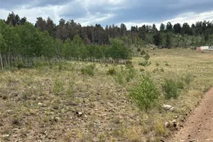 1625 Athapascan Rd, Hartsel, CO 80449 - Photo 1