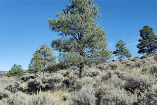 7668 Froom Rd, Fort Garland, CO 81133 - Photo 1