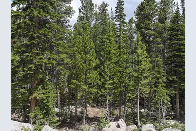 Lake Road, Idaho Springs, CO 80452 - Photo 1