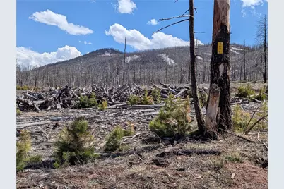 1994 Hilda Lane, Fort Garland, CO 81133 - Photo 1