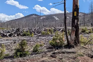 1994 Hilda Ln, Fort Garland, CO 81133 - Photo 1