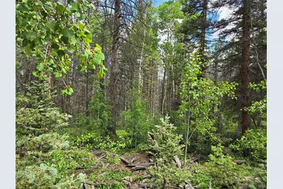 6656 Alden Road, Fort Garland, CO 81133 - Photo 1