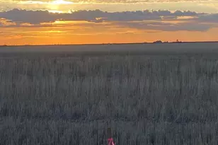 Parcel 3 Converse Rd, Bennett, CO 80102 - Photo 1