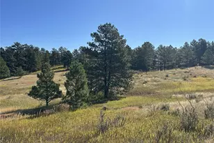 10856 Tomahawk Rd, Parker, CO 80138 - Photo 1