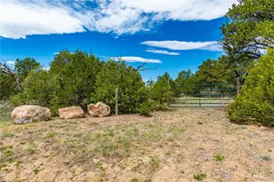 250 Cottonwood Dr, Cotopaxi, CO 81223 - Photo 1